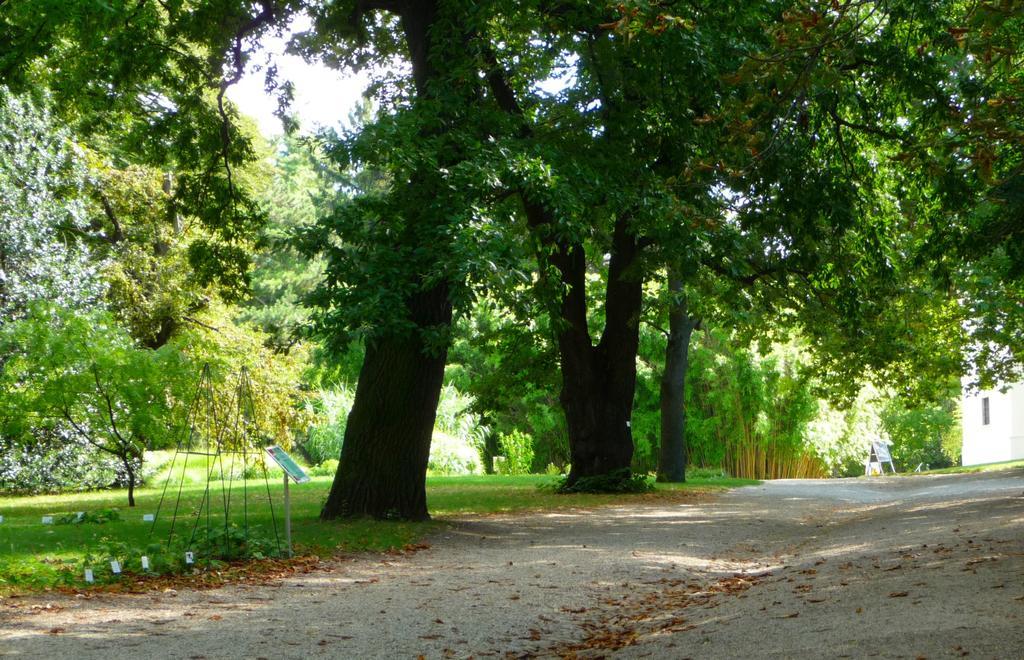 Streetview Wien - Premium Apartment Beim Belvedere Zewnętrze zdjęcie